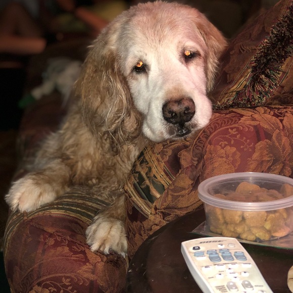 Meet your Posher, Debbie - Picture 6 of 8